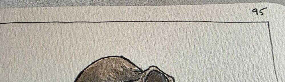 95. Lucy the Australopithecus aferensis