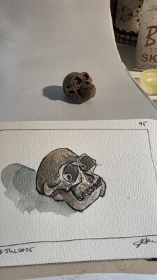 Australopithecus skull model and an ink and wash sketch