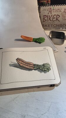 A miniature model of a bunch of carrots and and ink and watercolor wash sketch