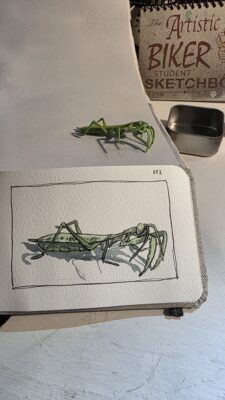 A toy praying mantis (life sized) and an ink and watercolor wash sketch
