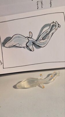 Miniature glass squid model and an ink and watercolor wash sketch