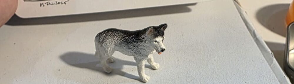 111. A Husky: 30,000 Years and Still Shedding
