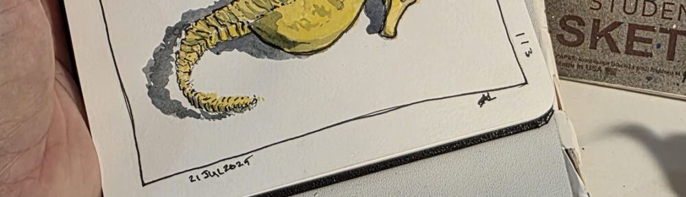 113. A Seahorse: The Bony, Little, Beautiful, Monsters of The Marsh