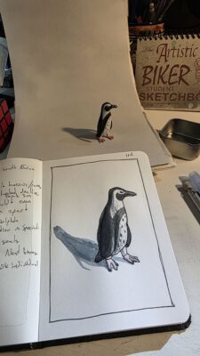 African penguin model from SeaWorld San Antonio and an ink and watercolor wash illustration