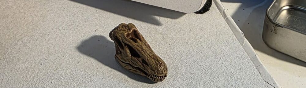 117. Diplodocus: Ballerina of the Longnecks