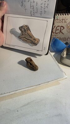 Miniature of a fossilized Diplodocus skull and an ink and watercolor wash sketch of it
