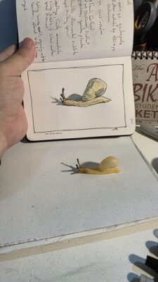 A resin garden snail replica and an ink and watercolor wash sketch