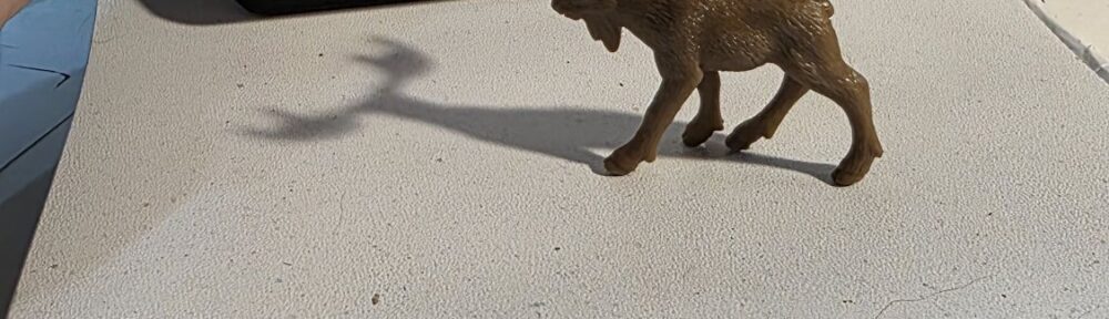 123. Moose: Unexpectedly good swimmers