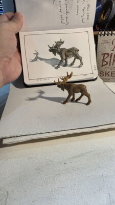Miniature moose model from Safari, Ltd., and an ink and watercolor wash sketch