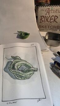 Emeral Boa Constrictor miniature from the Houston Zoo and an ink and watercolor wash sketch