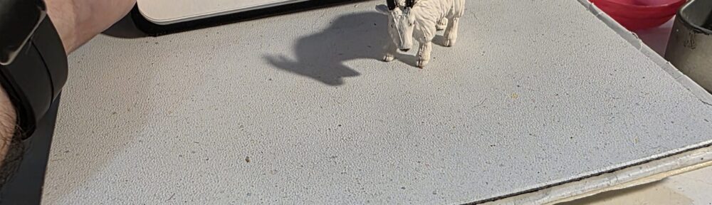 130. Mountain Goat: Essence of Goat