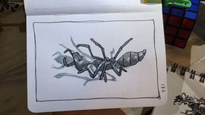 Ink and watercolor wash sketch of an ant