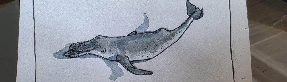 133. Humpback Whale: Beloved Troubadour of the Sea