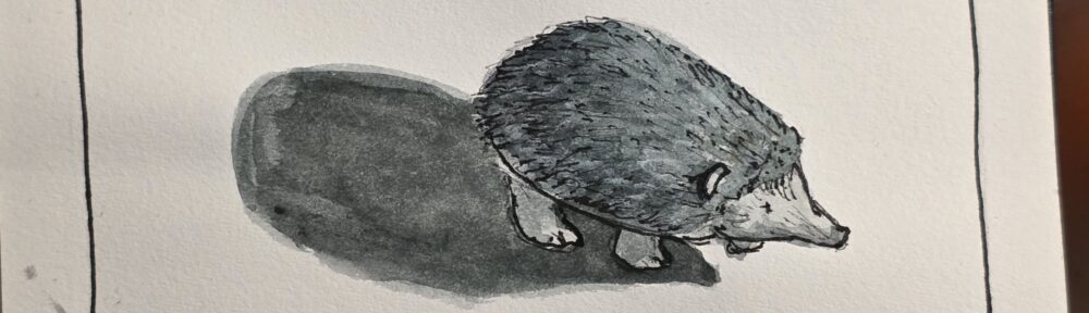 137. Hedgehog: Worlds Most Adorable Pin Cushion