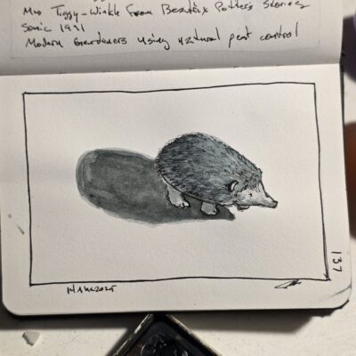Hedgehog ink and watercolor wash