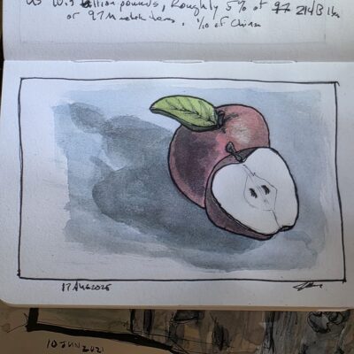 Ink and Waterccolor Wash Sketch of Apples