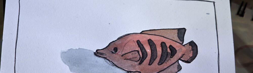 143. Angelfish: Like Me, Their Beauty Is Their Curse