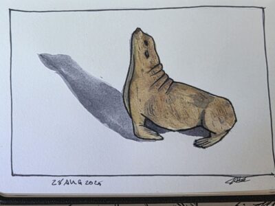 Sea Lion ink and watercolor wash sketch