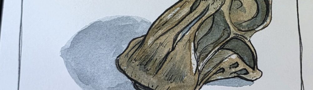 158. Nigersaurus: Vacuum Head with 500 Teeth