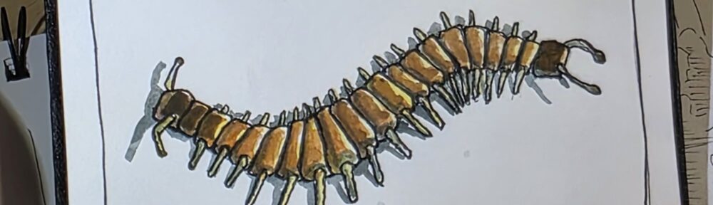 160. Centipede: Fast Moving, Needle Feet of Terror