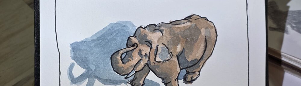 171. Asian Elephant: Disappearing In Front of Us
