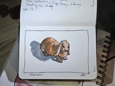 Ink and Watercolor Wash Sketch of a Bunny