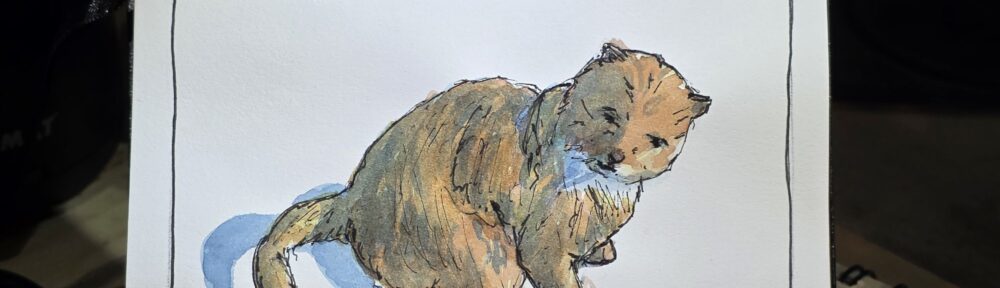 182. Orange Cat:  Why are They Mean?