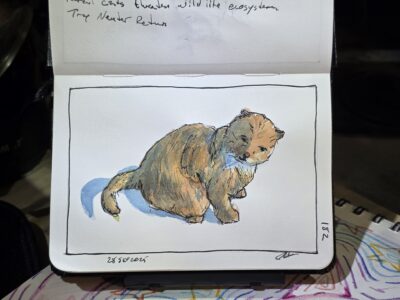 Ink and Watercolor Sketch of an Orange Cat