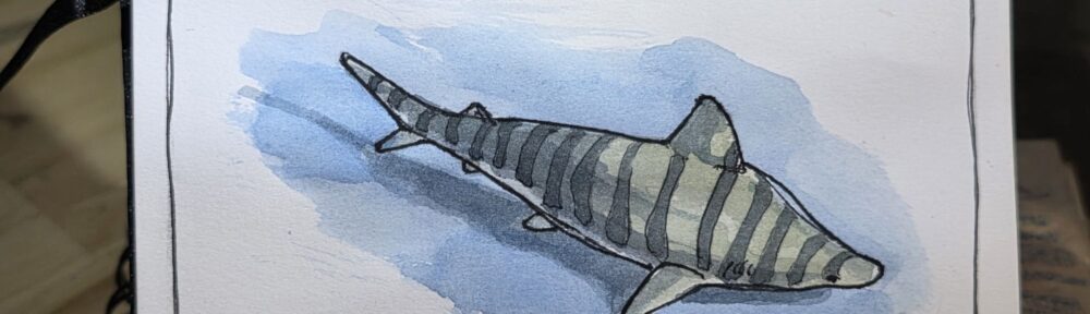 183. Tiger Shark: Garbage Can of the Sea