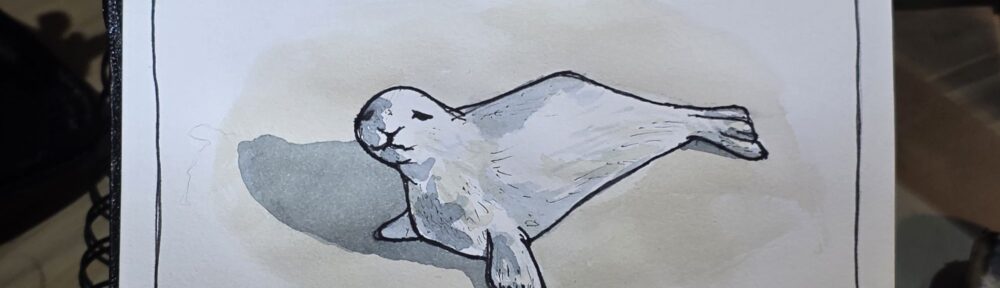 185. Harp Seal: Ice Ice Baby