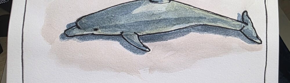 192. Bottlenose Dolphin: What Flipper Didn’t Tell You!