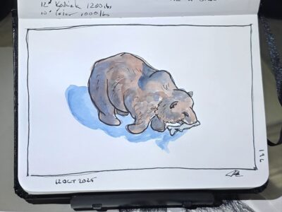 Ink and Watercolor Sketch of a Brown Bear Figurine