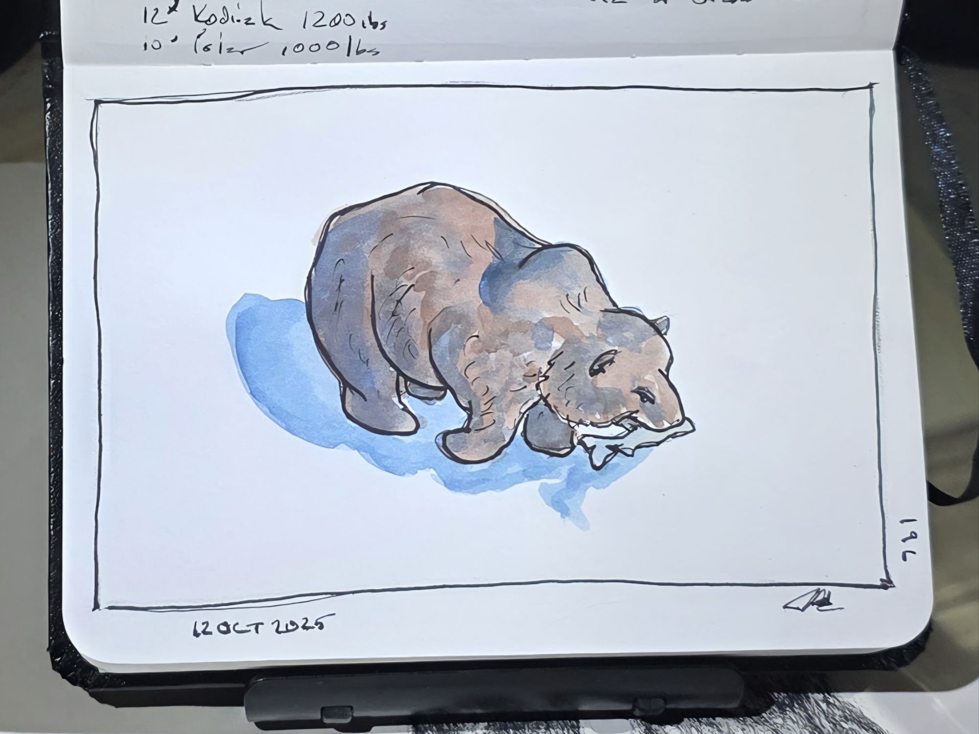 196. Brown Bear: Fur, Teeth, and Drama!