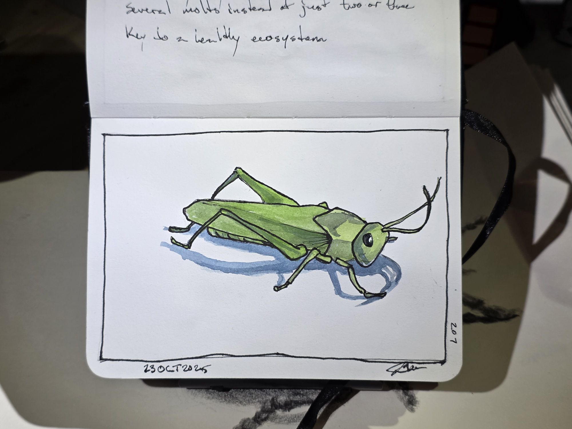 207. Grasshopper: Do WHAT with their bellies?