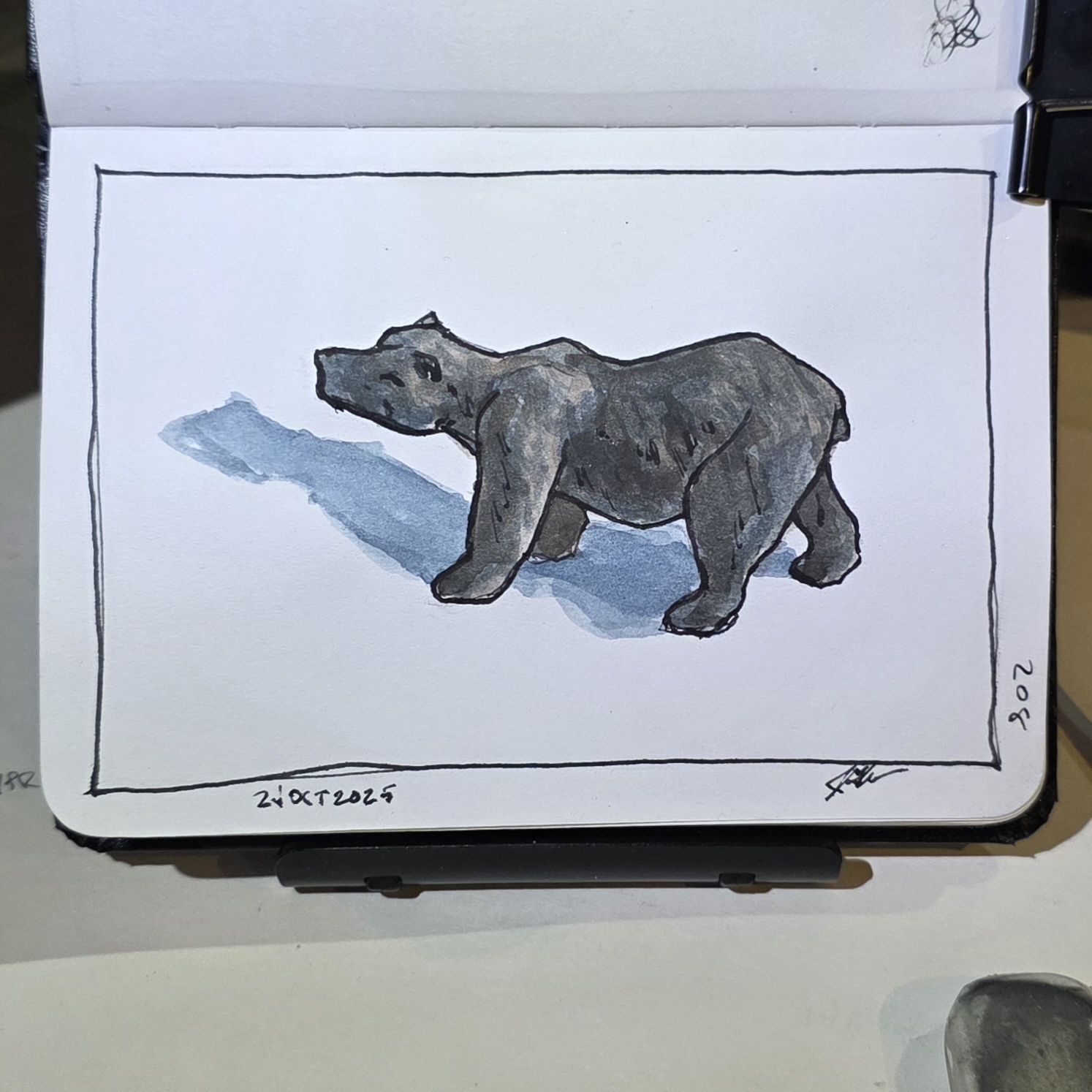 208. Black Bear: Months Without Poop