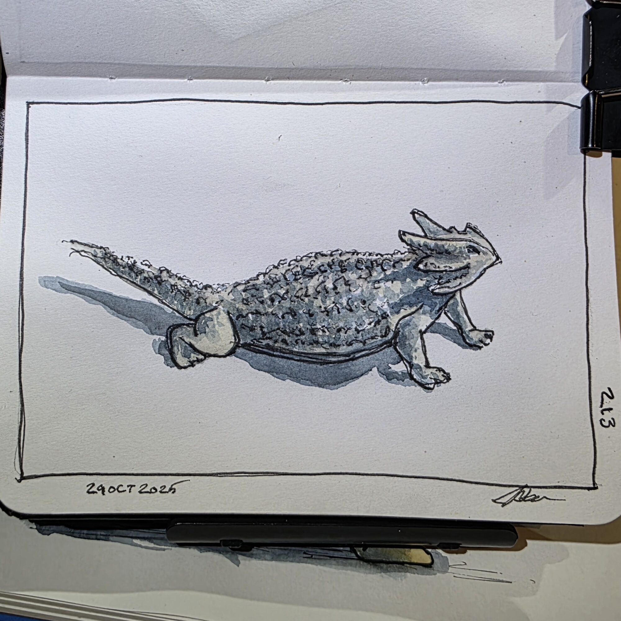 213. Horned Lizard: or Horny Toads