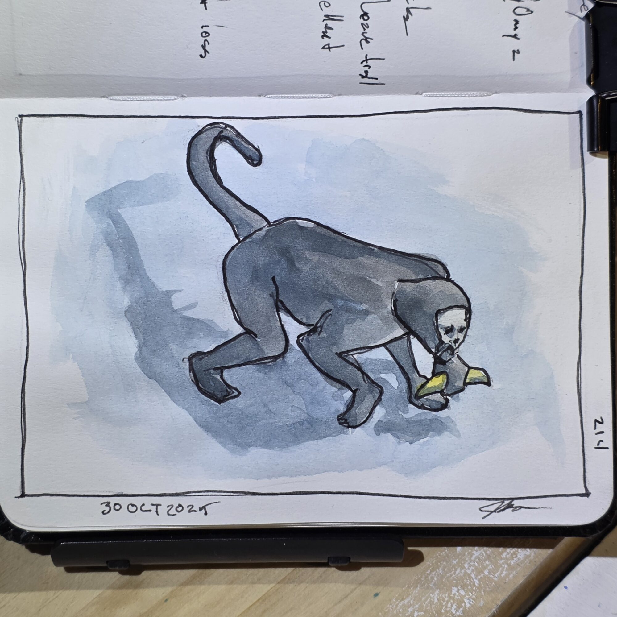 214. Capuchin Monkeys: Bizarre use for millipedes