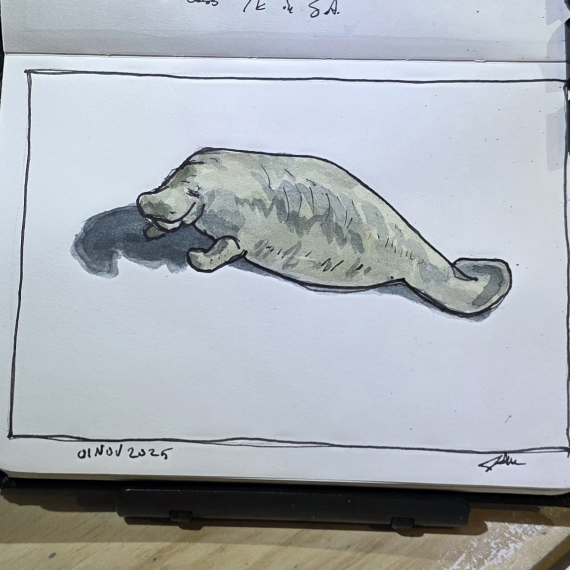 216. Manatee: Mermaids and Sea Cows